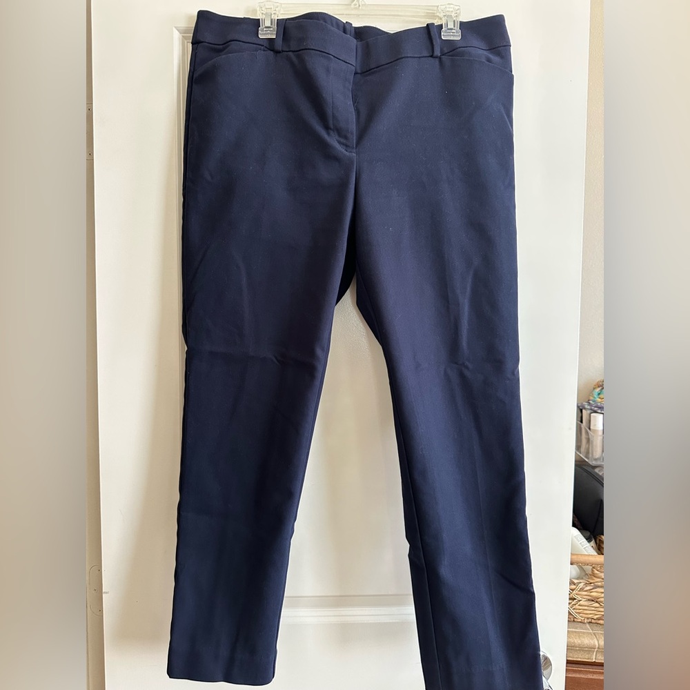 LOFT Navy Women's Pants